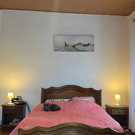 Holiday home Maison De Au Croisic Avec Wifi Et Animaux Admis - 4 Personnes - Fr-1-843-6